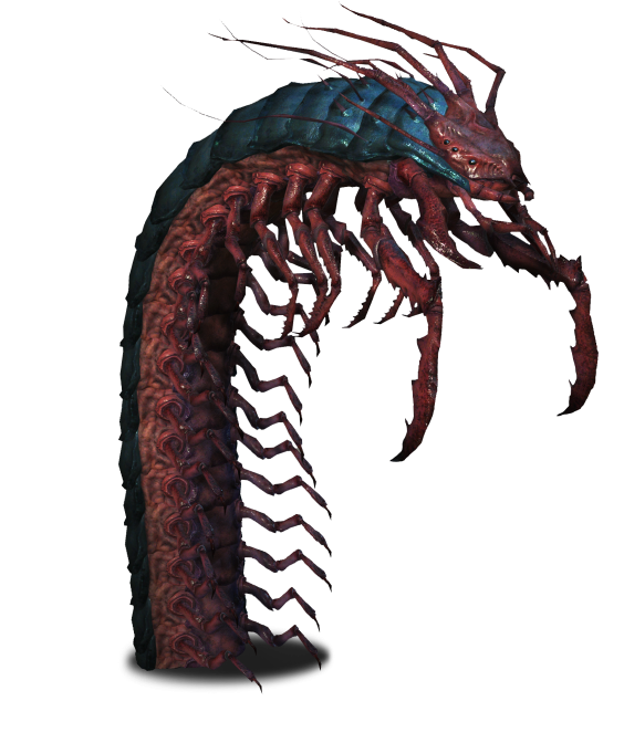 Fantasy Centipede Creature Artwork PNG