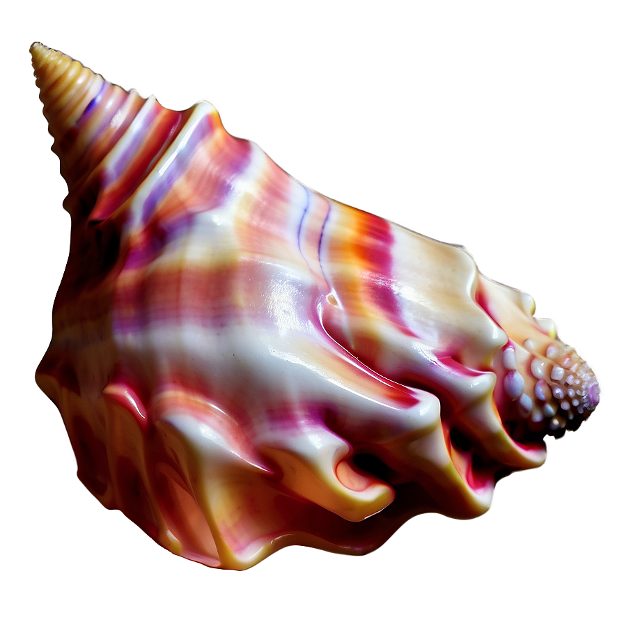 Fantasy Conch Shell Magic Png Bfg28 PNG