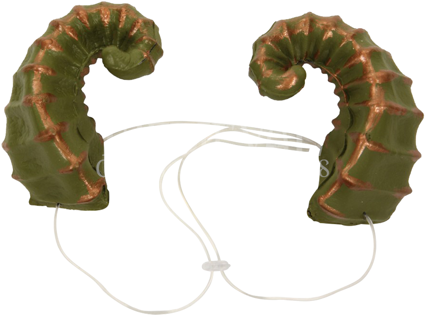 Fantasy Costume Horns PNG