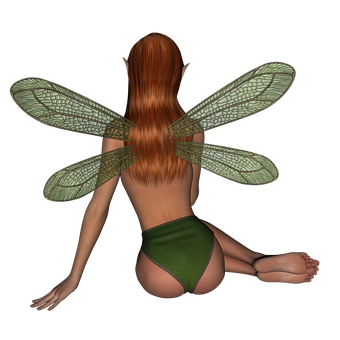 Fantasy_ Fairy_ Back_ View PNG