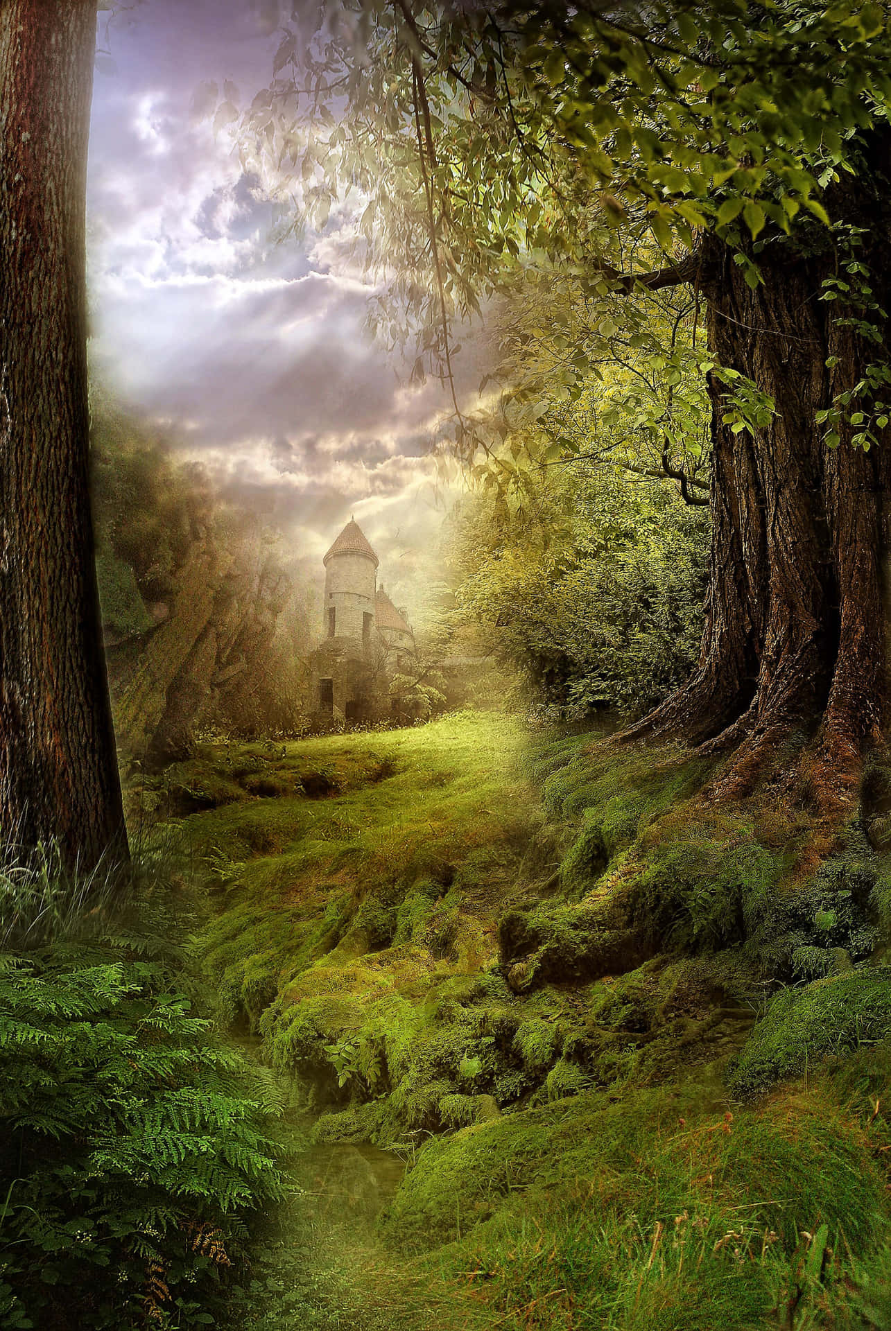 Fantasy Forest Background 1600 X 2391