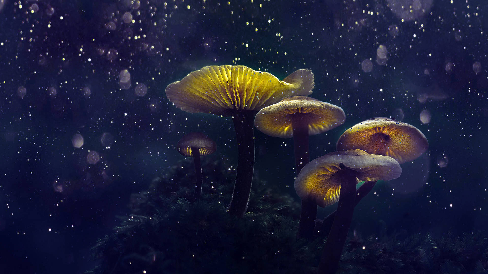 Fantasy Mushroom Æstetisk Wallpaper