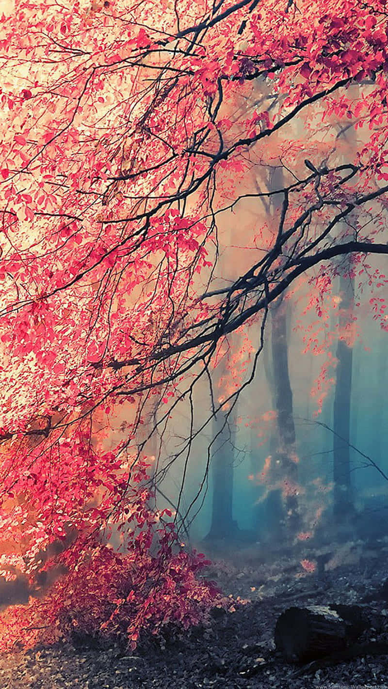 A Red Tree In The Forest With Fog Wallpaper