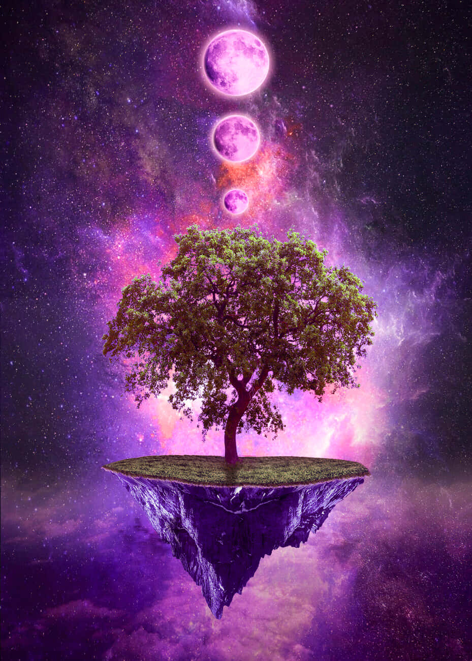 A Tree On An Island In The Middle Of The Universe