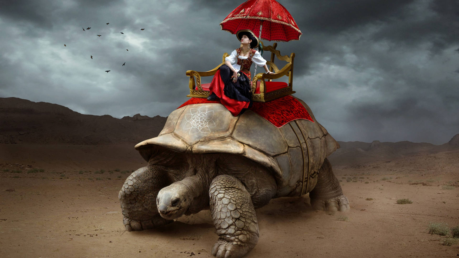 Fantasy Woman On Top Of A Tortoise Wallpaper