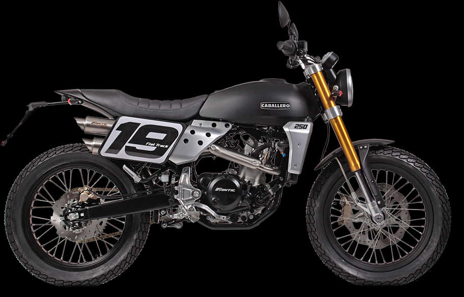 Fantic Caballero Flat Track250 Motorcycle PNG