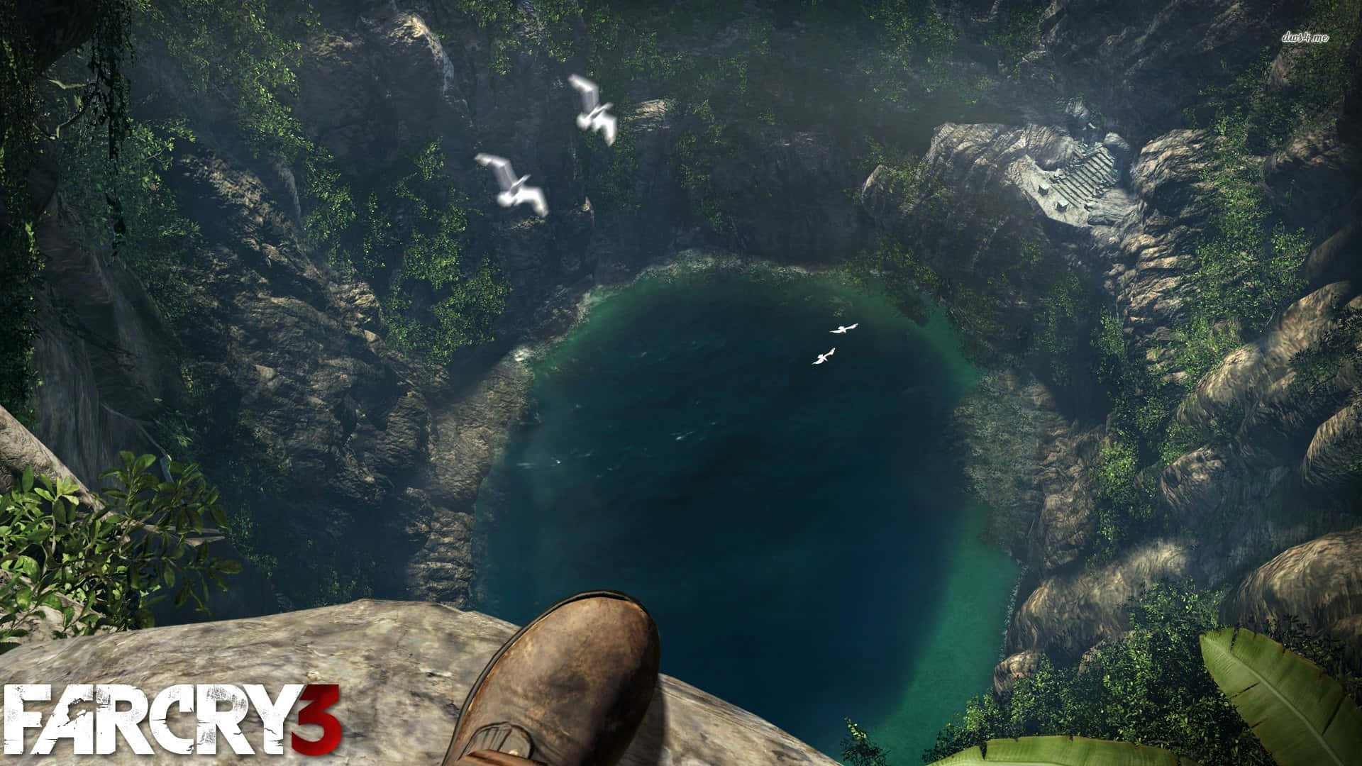 Udforskden Eksotiske Spænding Og Fare På Rook Island I Far Cry 3.