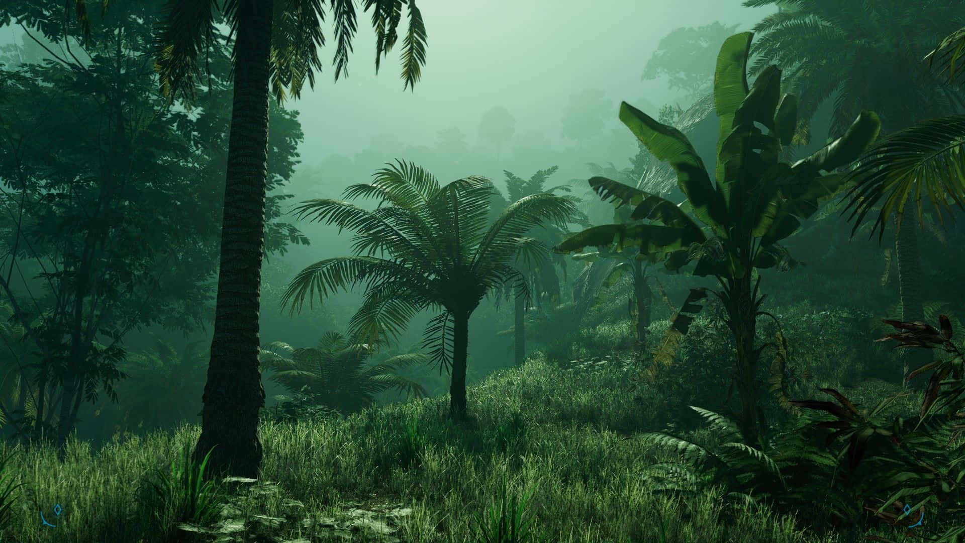A Screenshot Of A Tropical Jungle Wallpaper