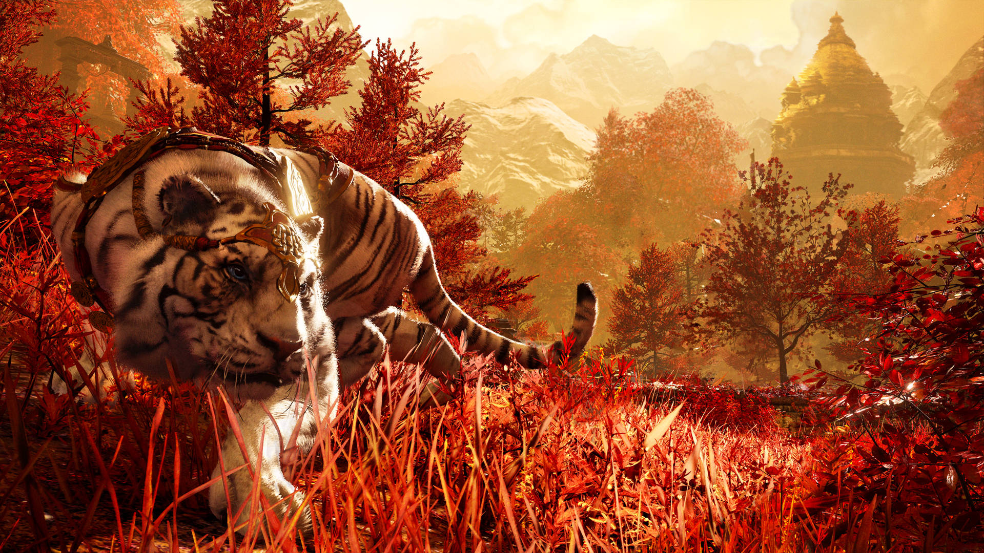Far Cry 4 Jagt Tiger Wallpaper