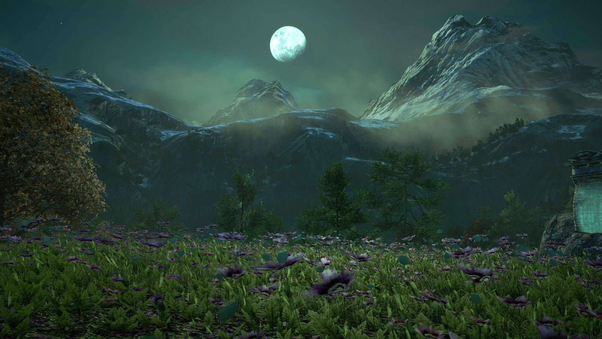 Far Cry 4 Moon Field Wallpaper