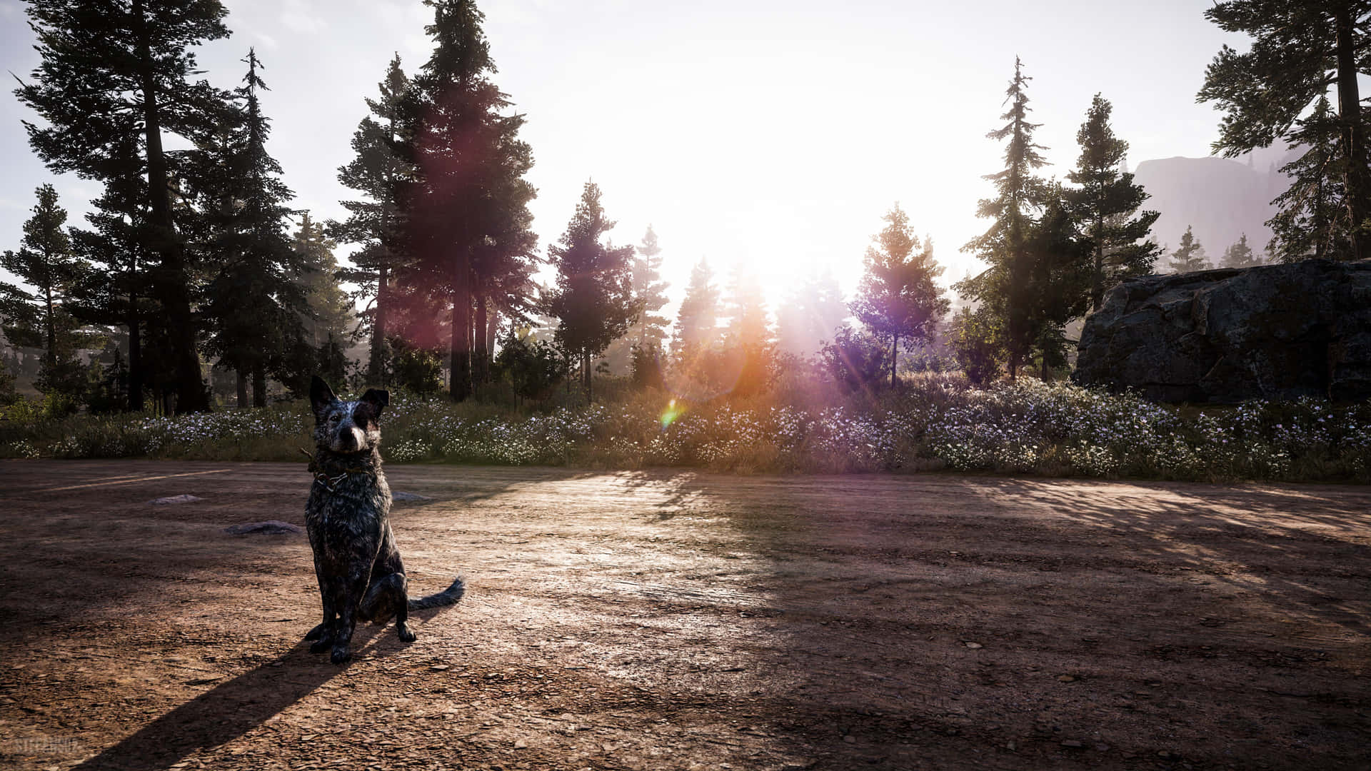 High-resolution 4K screenshot from the open world video game Far Cry 5 Wallpaper