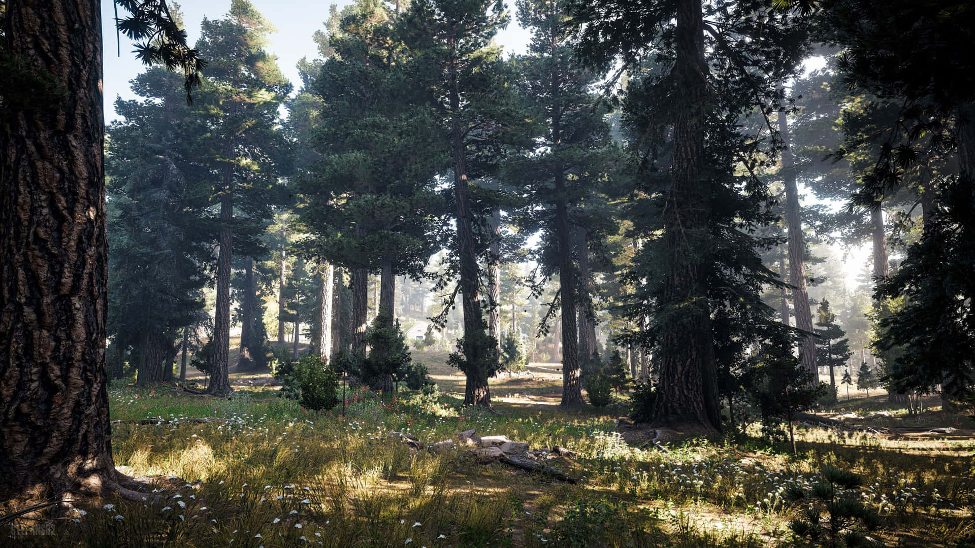 Entranel Mondo Di Far Cry 5 - Una Battaglia Tra La Setta Militarizzata E I Combattenti Per La Libertà Di Hope County.