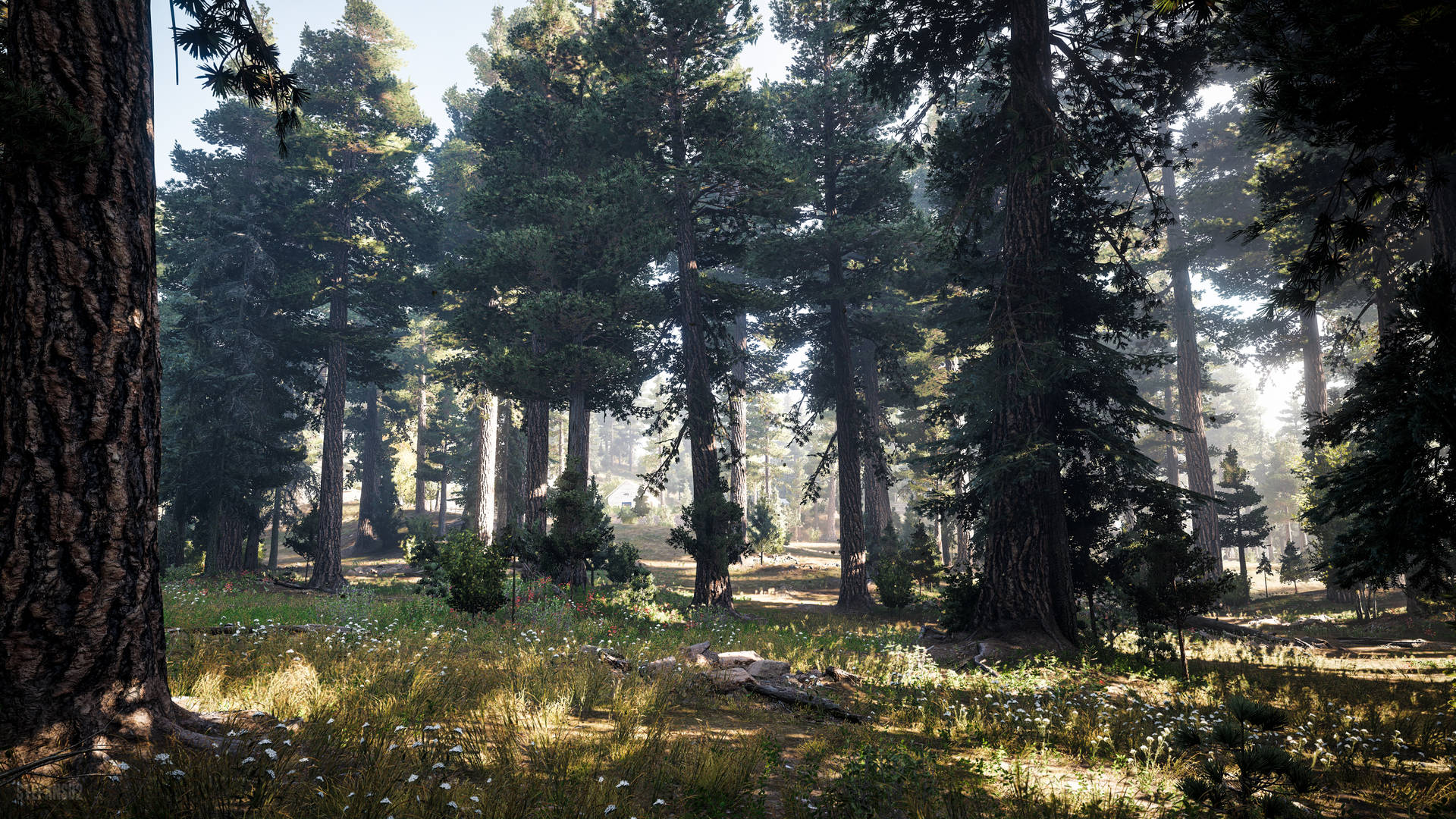 Far Cry 5 Beautiful Forest Background