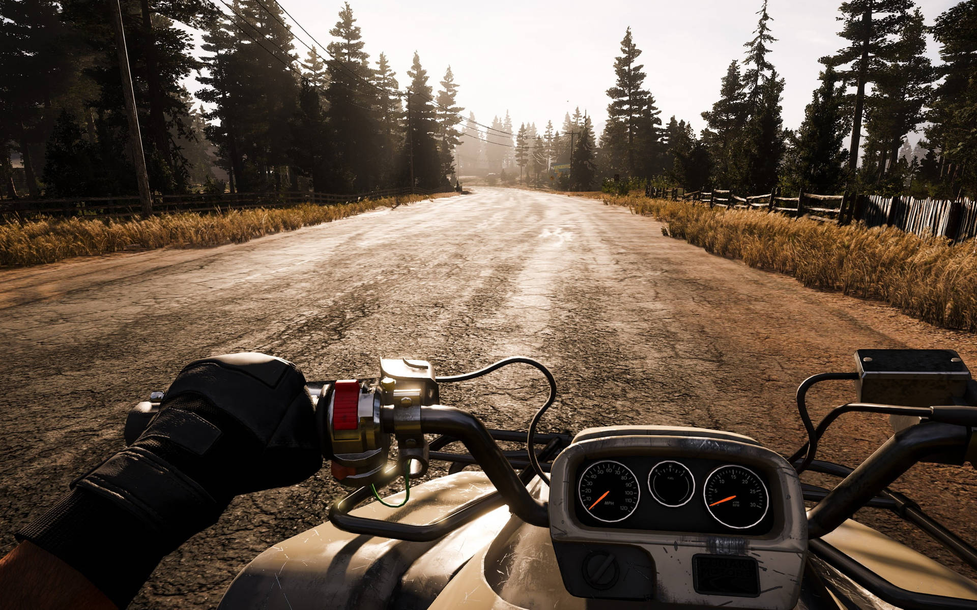 Far Cry Five Motorcycle Riding Wallpaper