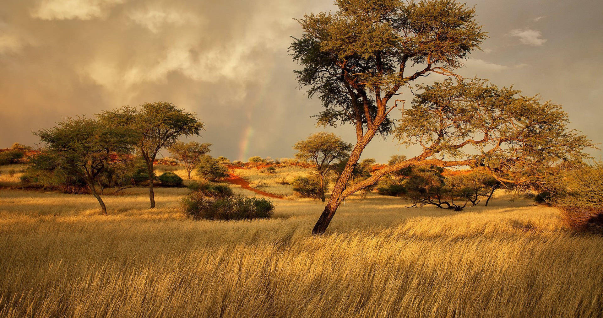 Arcoíris Distante Na África Em 4k. Papel de Parede