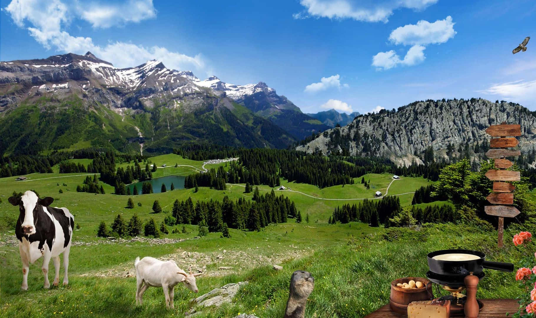 A group of happy farm animals on a sunny day