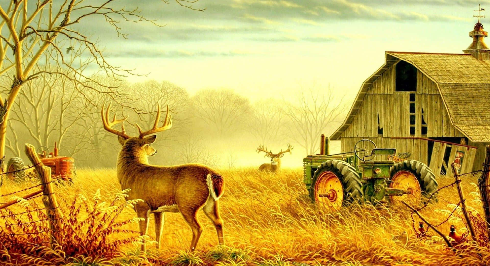 Farm Backgrounds Beautiful Autumn Cottages Pictures Farm Background Image  And Wallpaper for Free Download