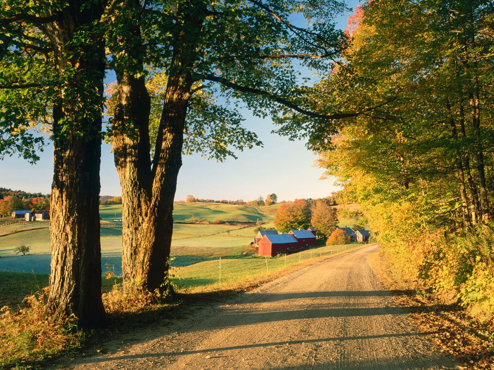 "A view of a flourishing farm landscape."