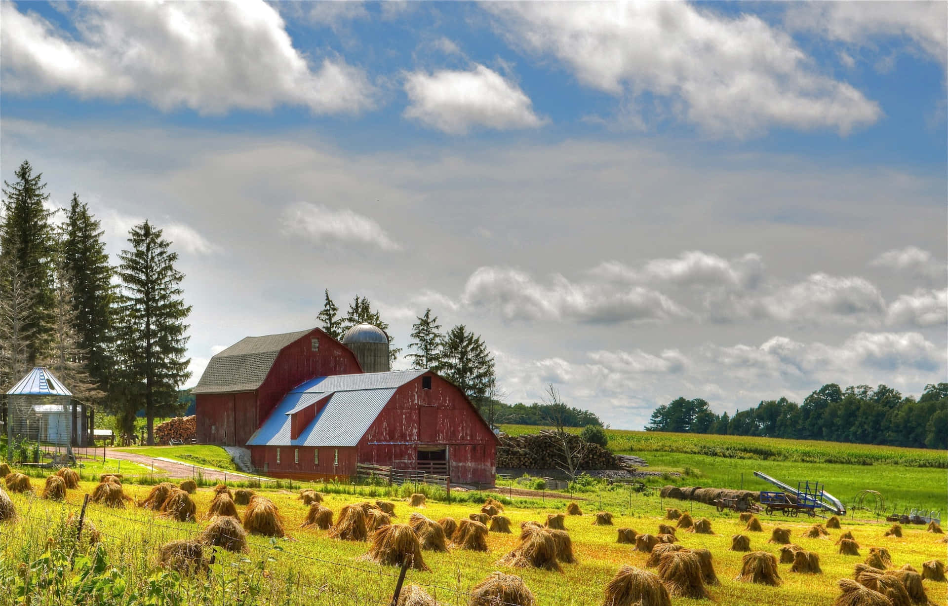 Farm Pictures