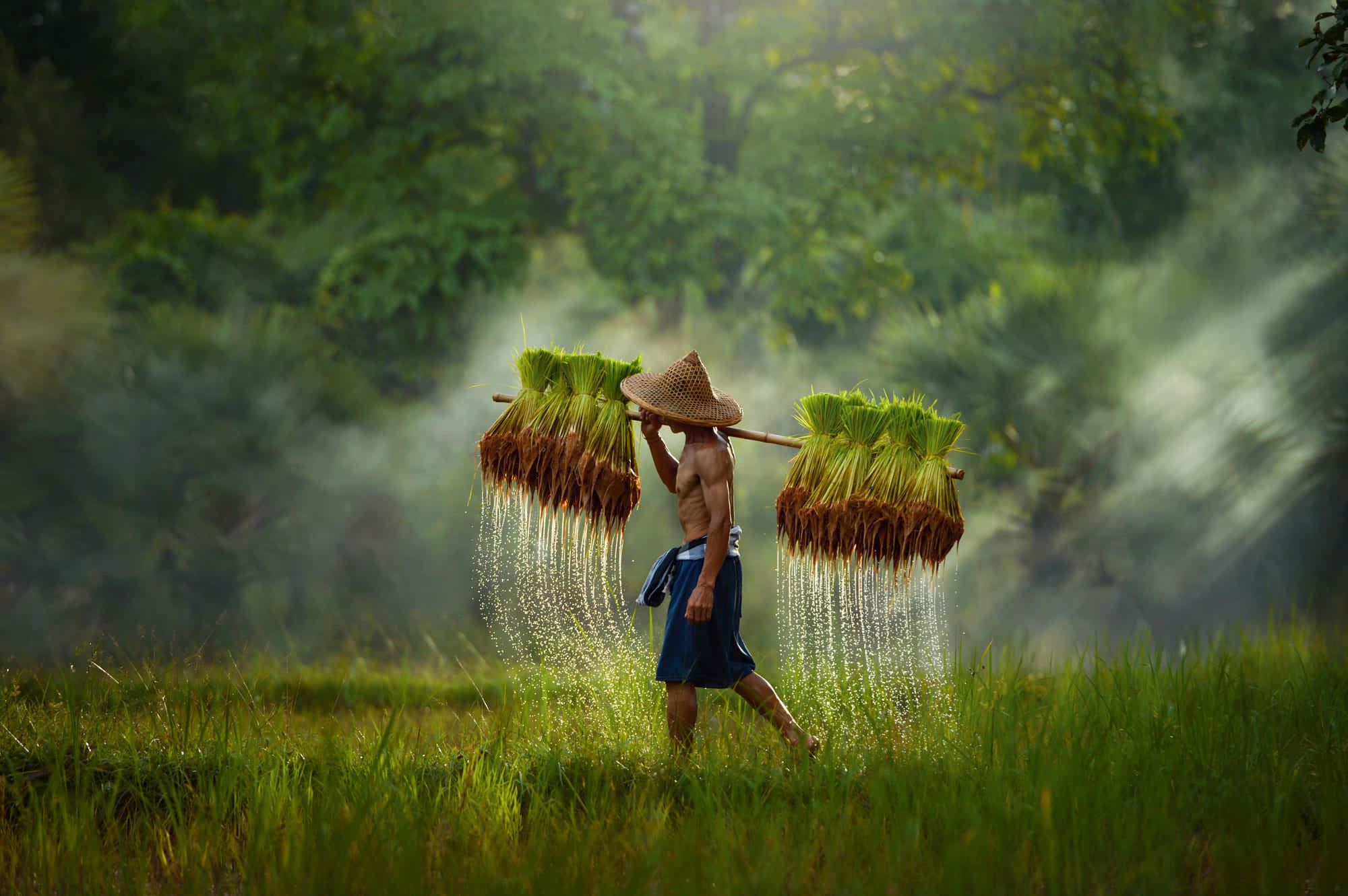 Farmer Working in a Vibrant Green Field