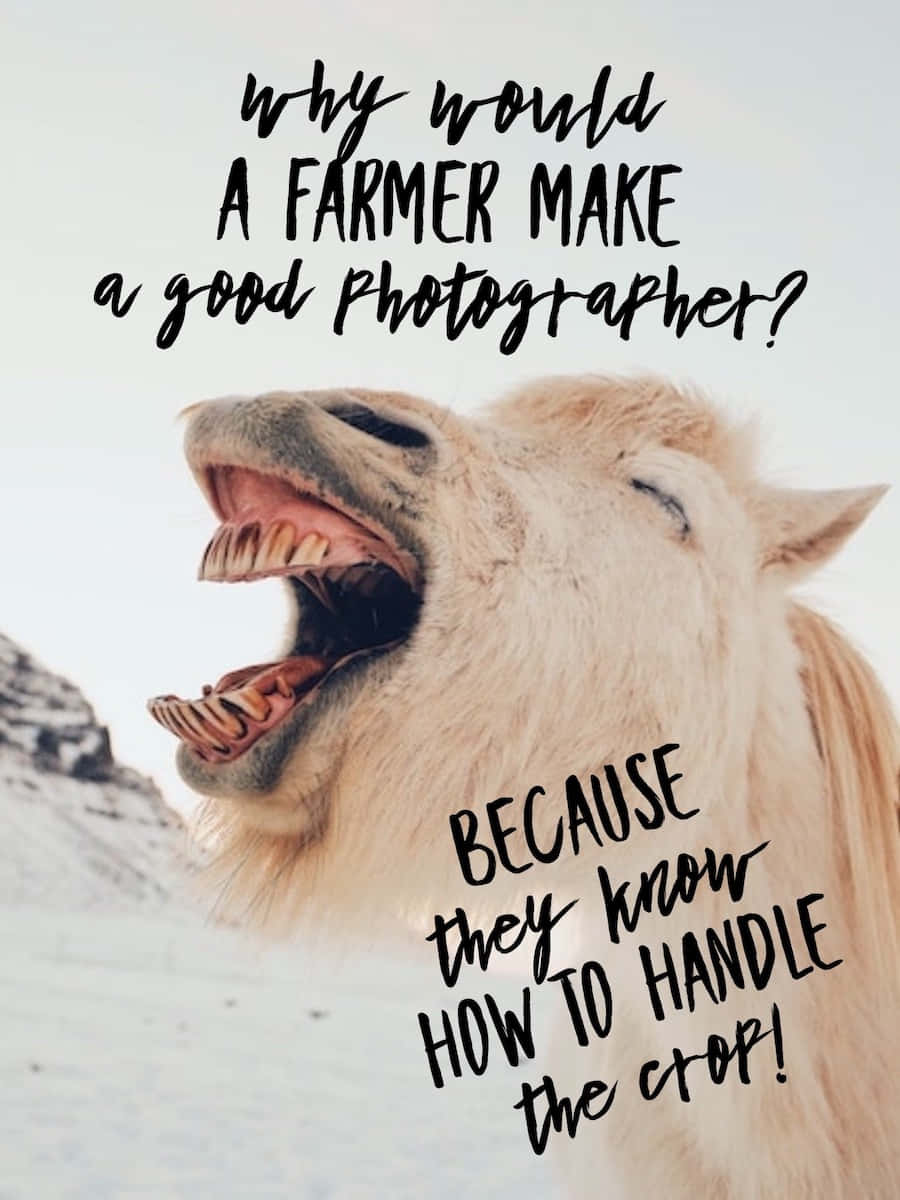 Farmer Photographer Comedy Quote Wallpaper