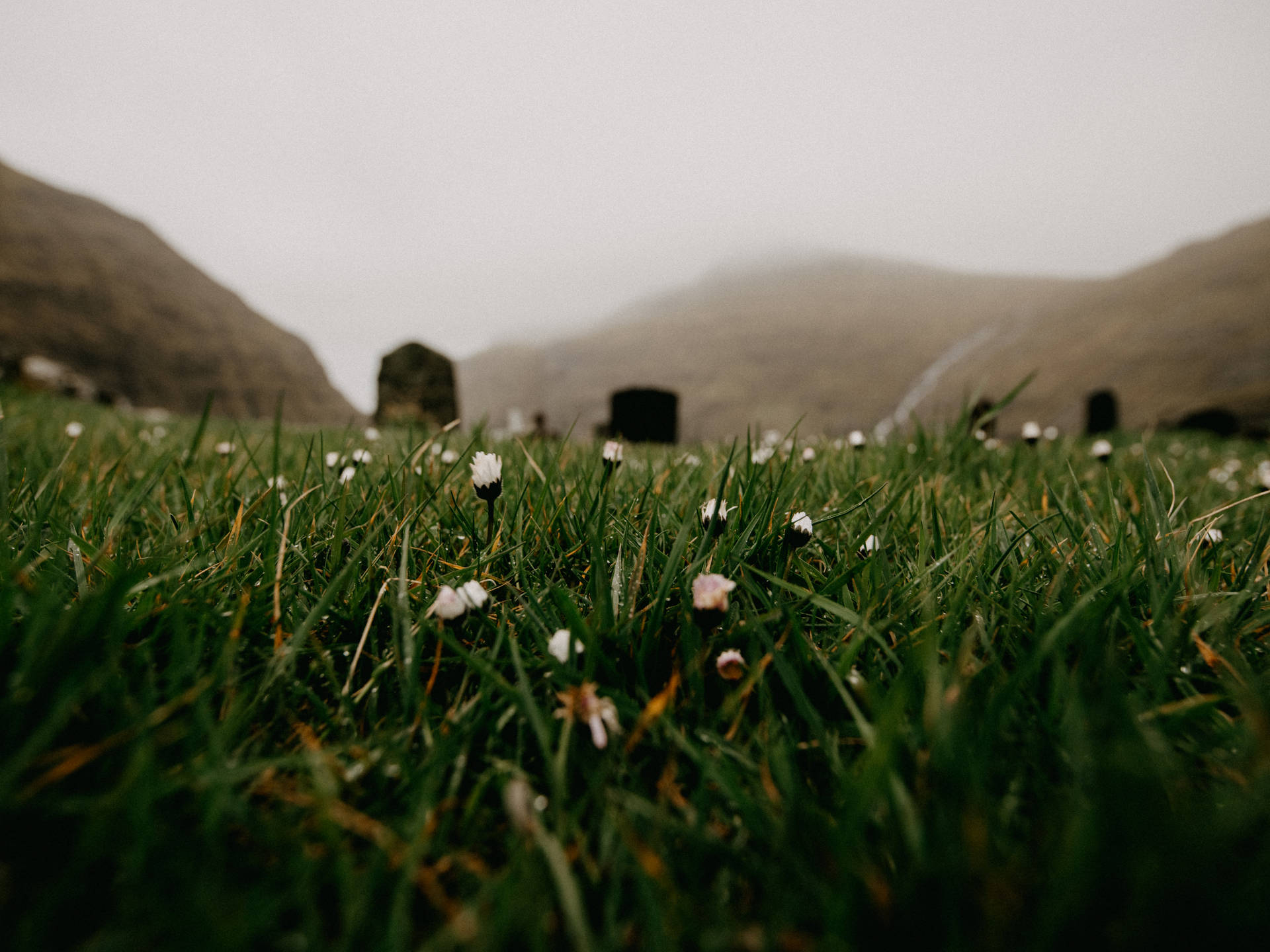 Faroe Islands Green Meadows