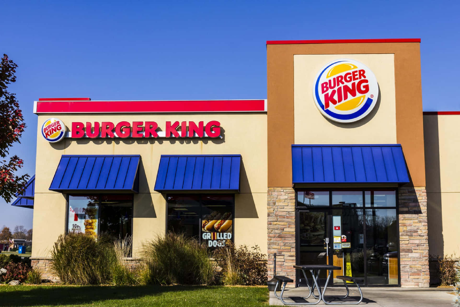 Burger King In A Grassy Area
