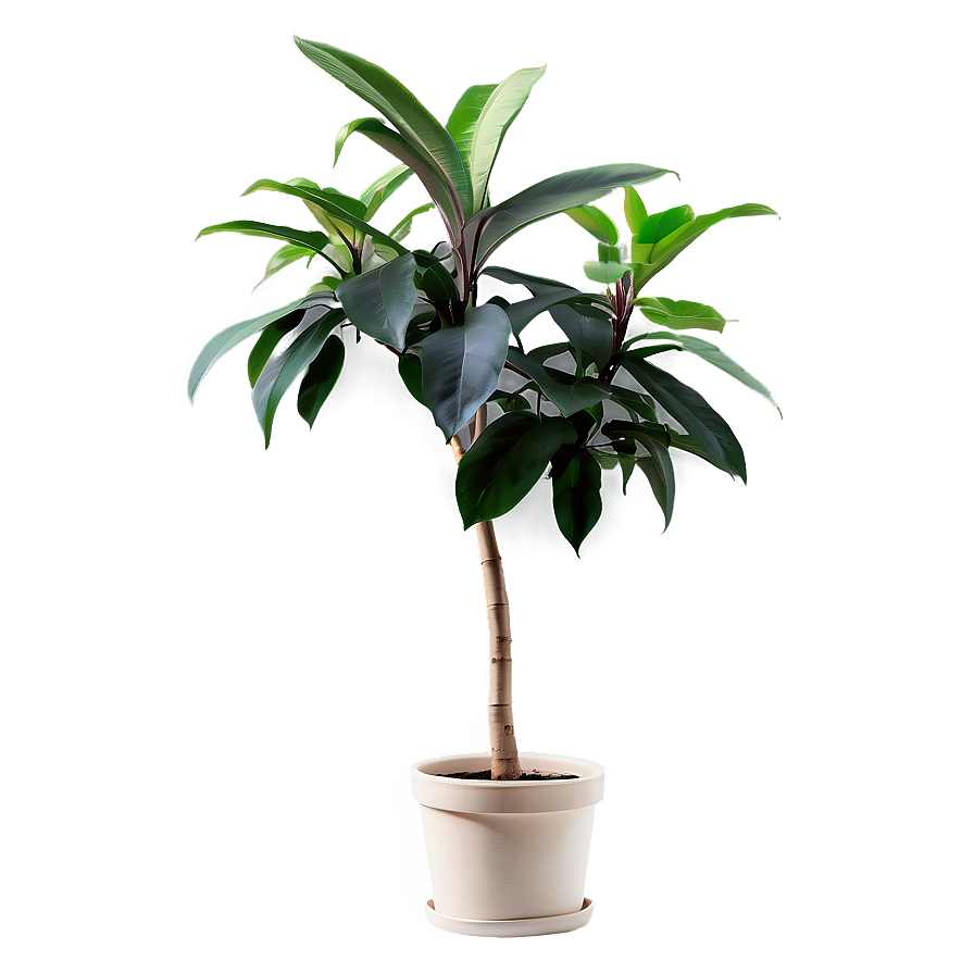 Fast Growing Plant Png Jlv PNG