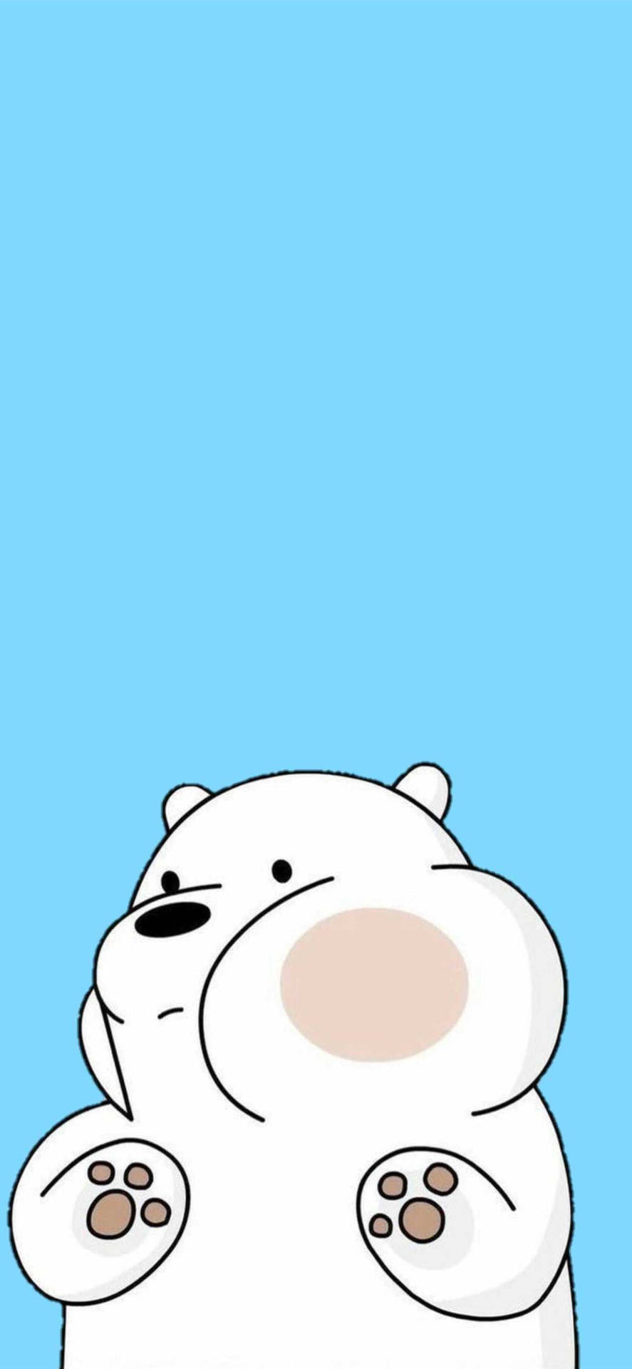 Fat Ice Bear Cute Iphone Background