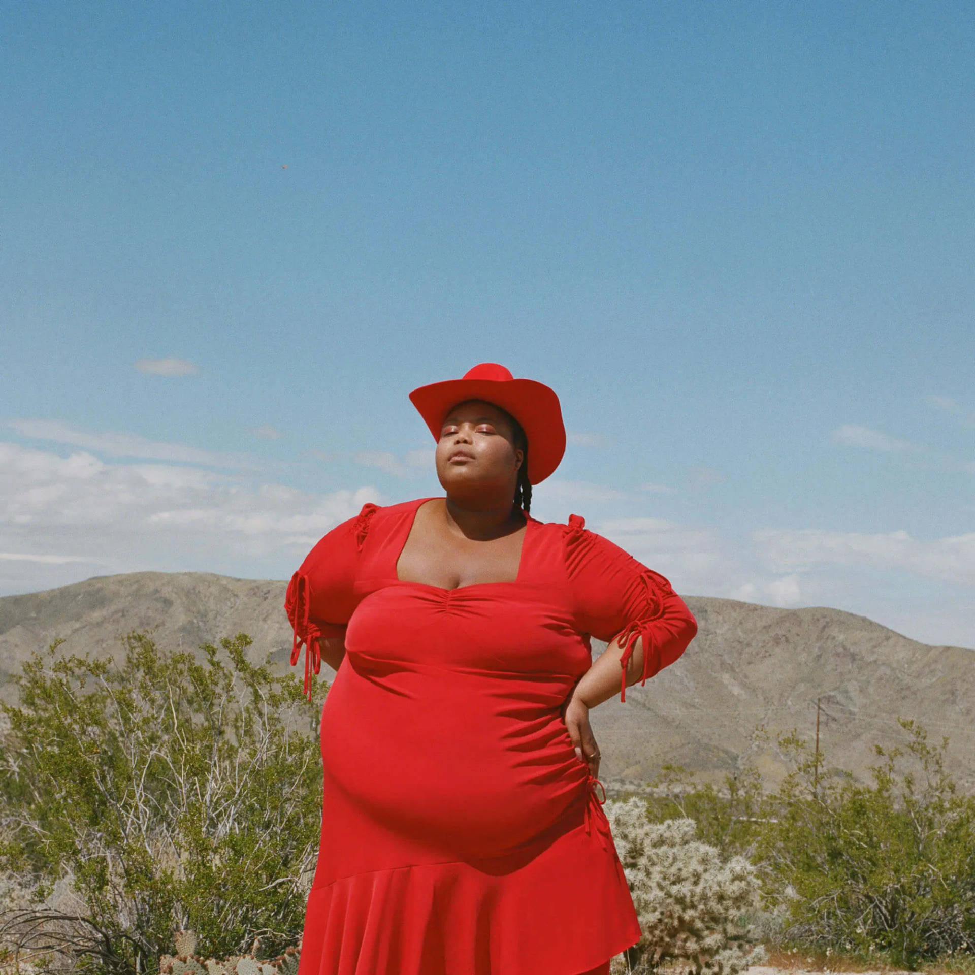 Fat Woman In Red Dress Wallpaper