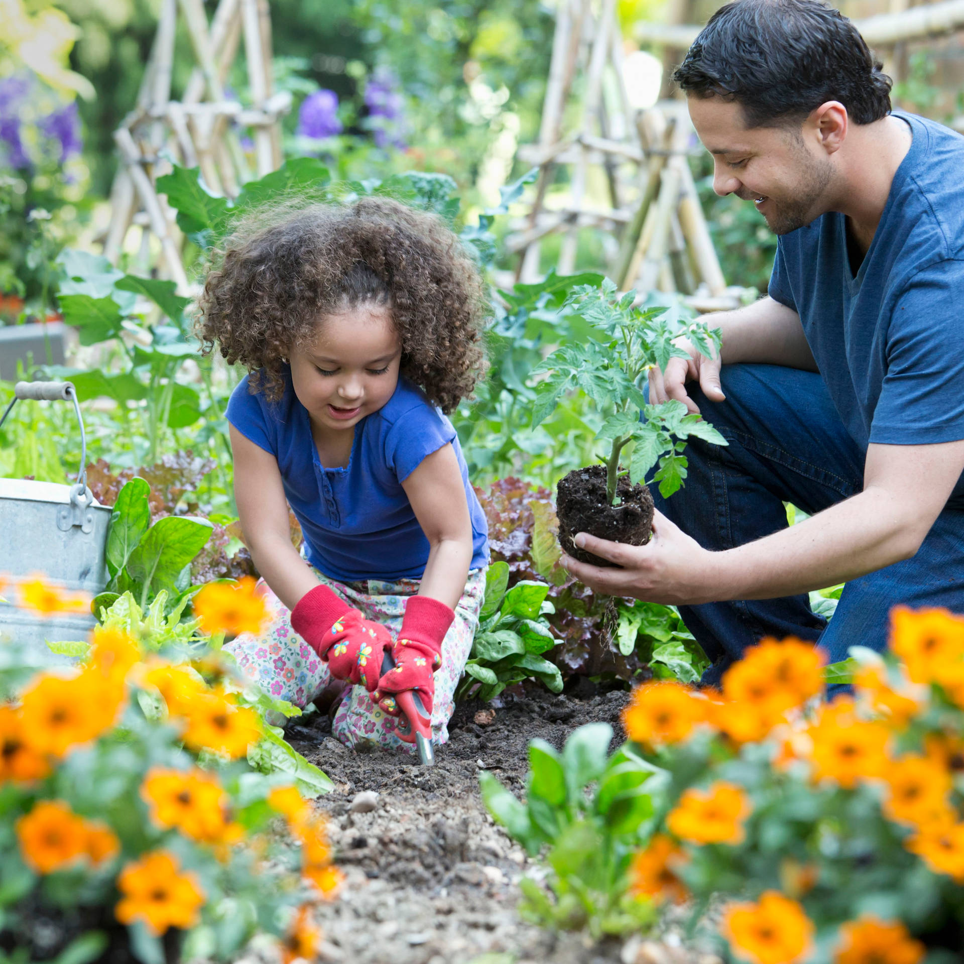Father And Daughter Gardening Wallpaper