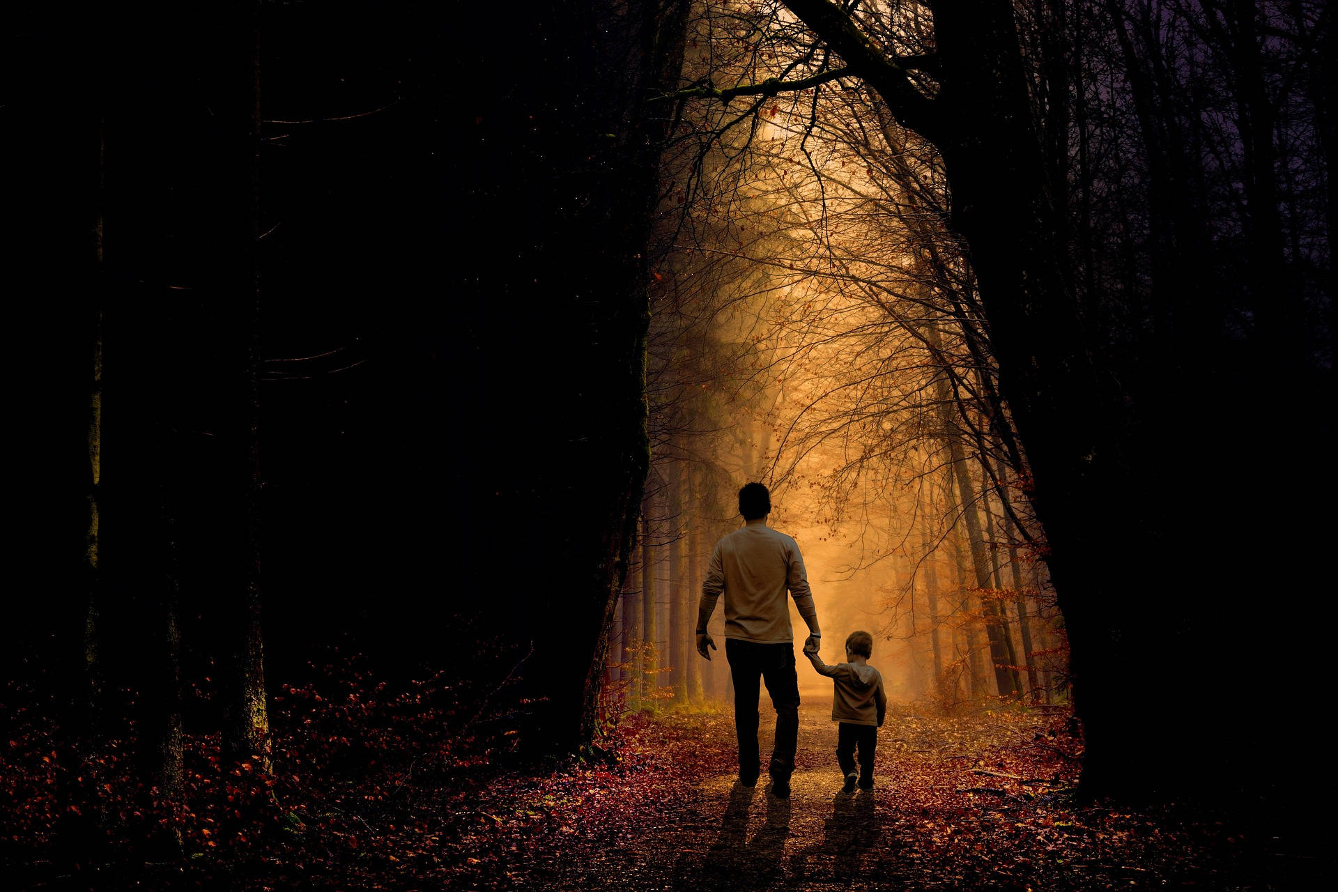 Father And Son In The Woods Background
