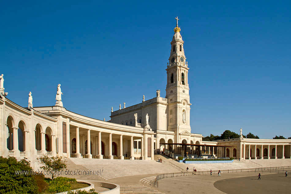 Fatima Sanctuary From The Left Picture