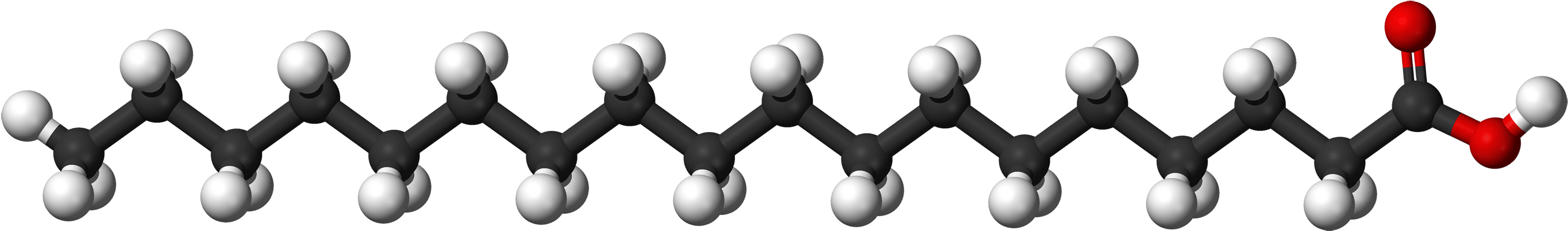 Fatty Acid Molecule Structure PNG