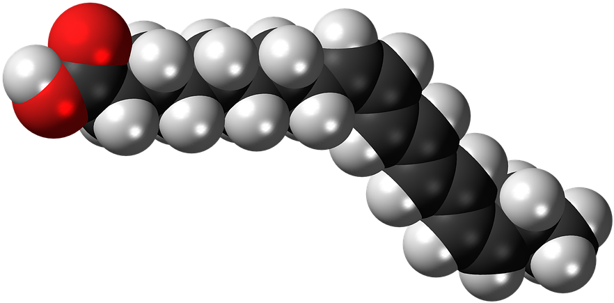 Fatty Acid Molecule3 D Model PNG