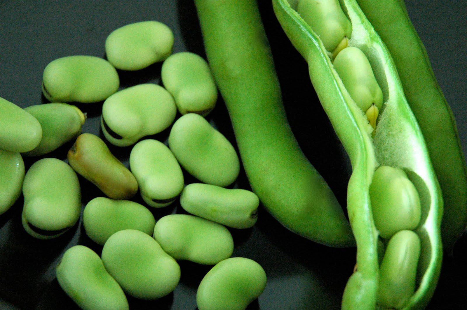Fava Beans Sliced Background