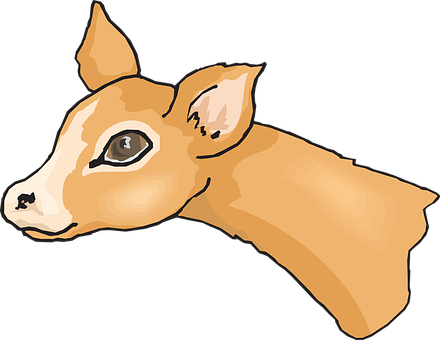 Fawn Head Illustration PNG