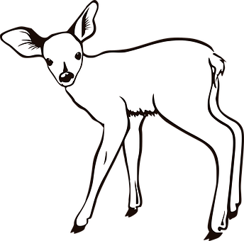 Fawn Silhouette Art PNG