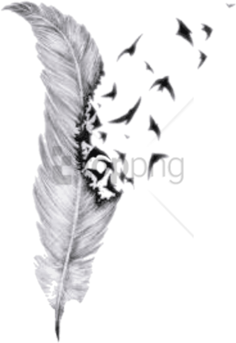 Feather Dissolving Effect PNG