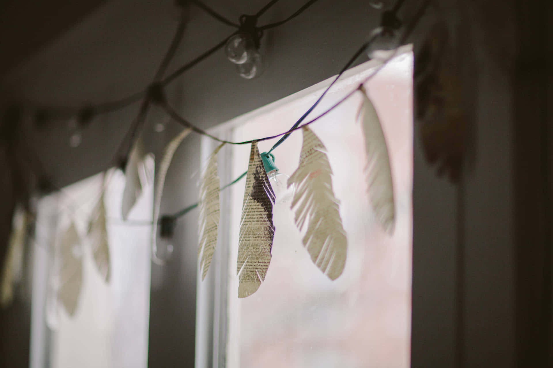 Guirlande De Plumes Lumières Fond d'écran