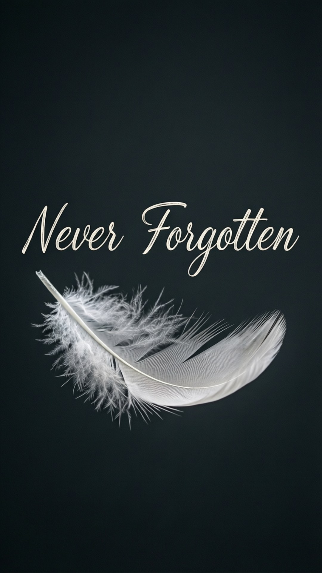 Memori Bulu Wallpaper