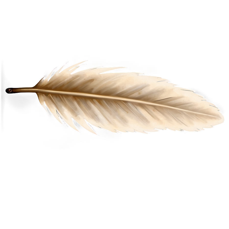 Download Feather On Vintage Paper Png Xxy | Wallpapers.com