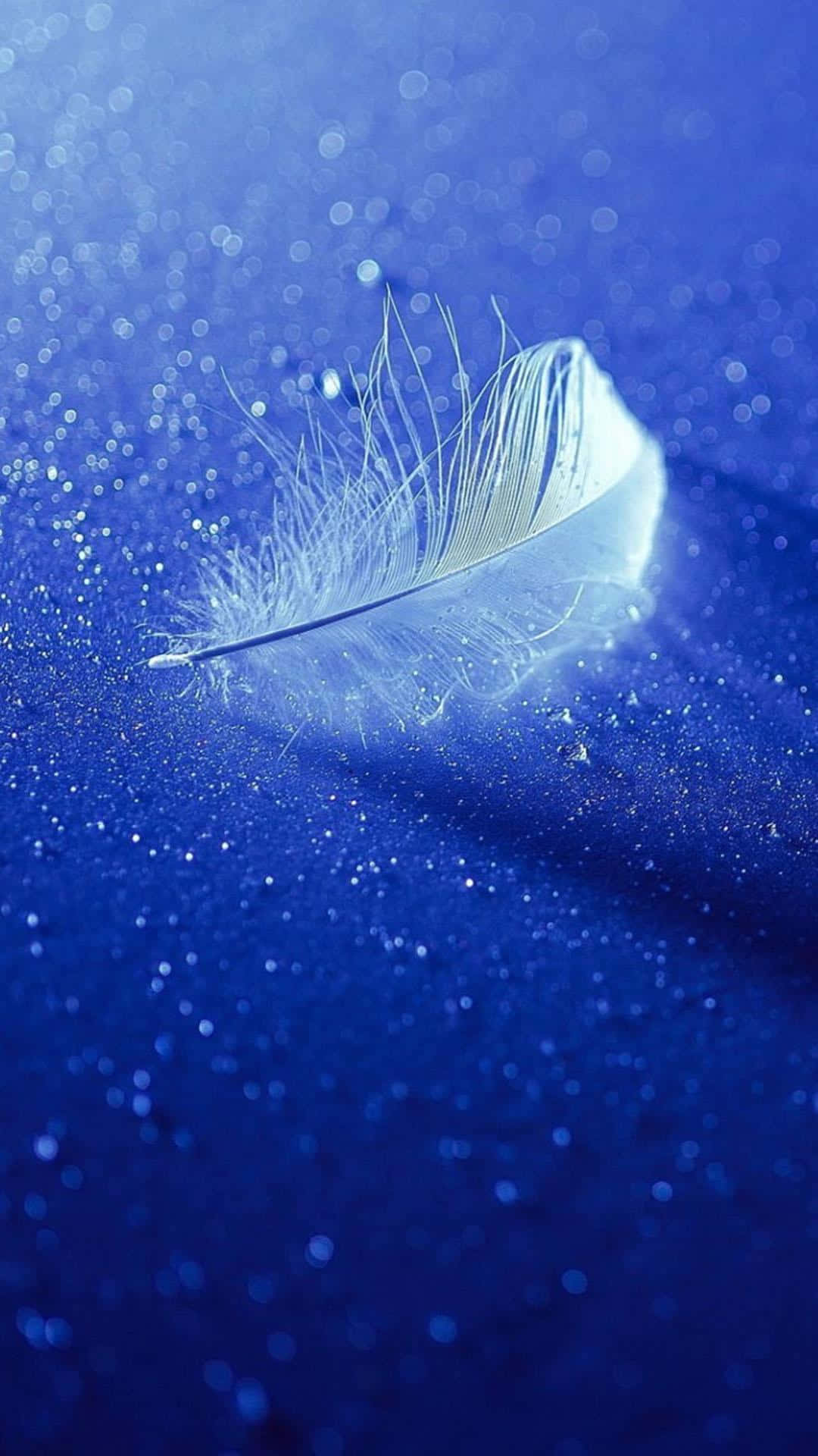 Tilting White Feather Picture