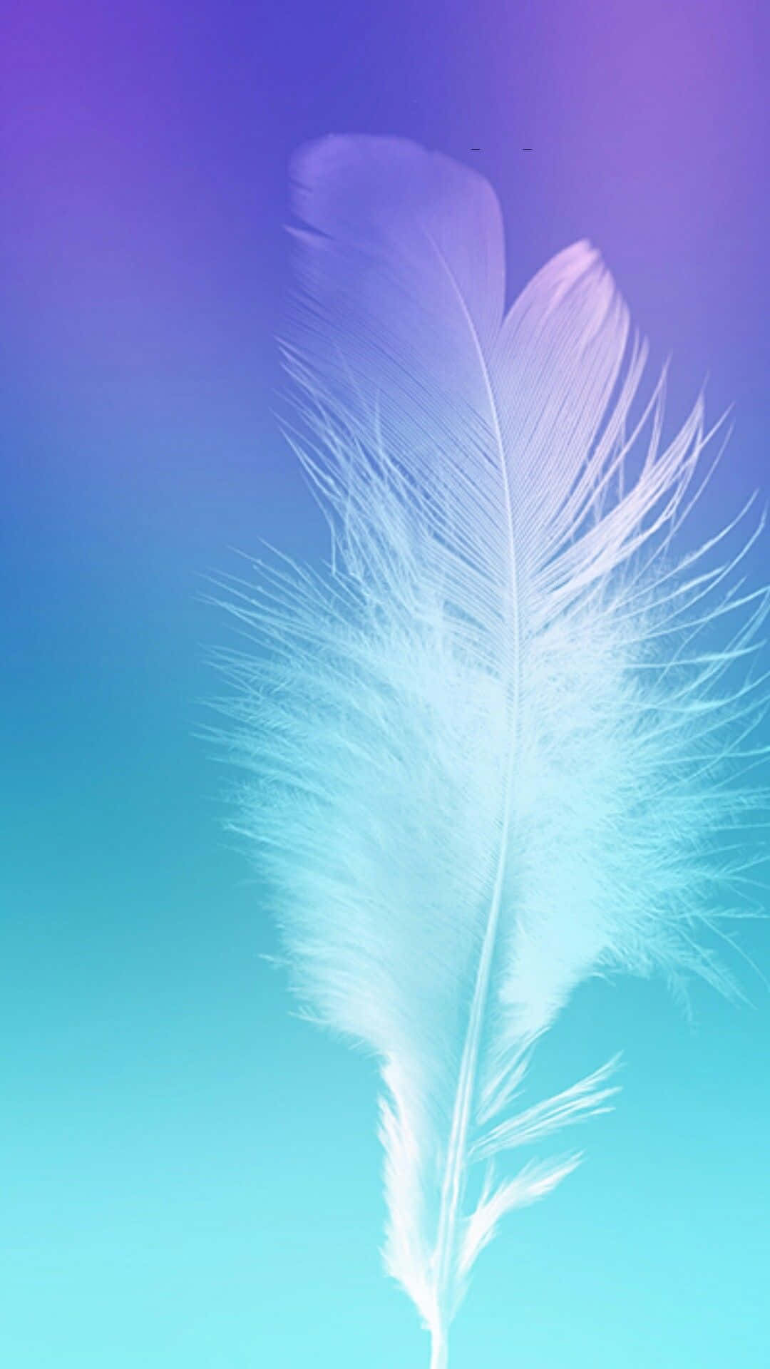 Feather With Blue And Green Backdrop Picture