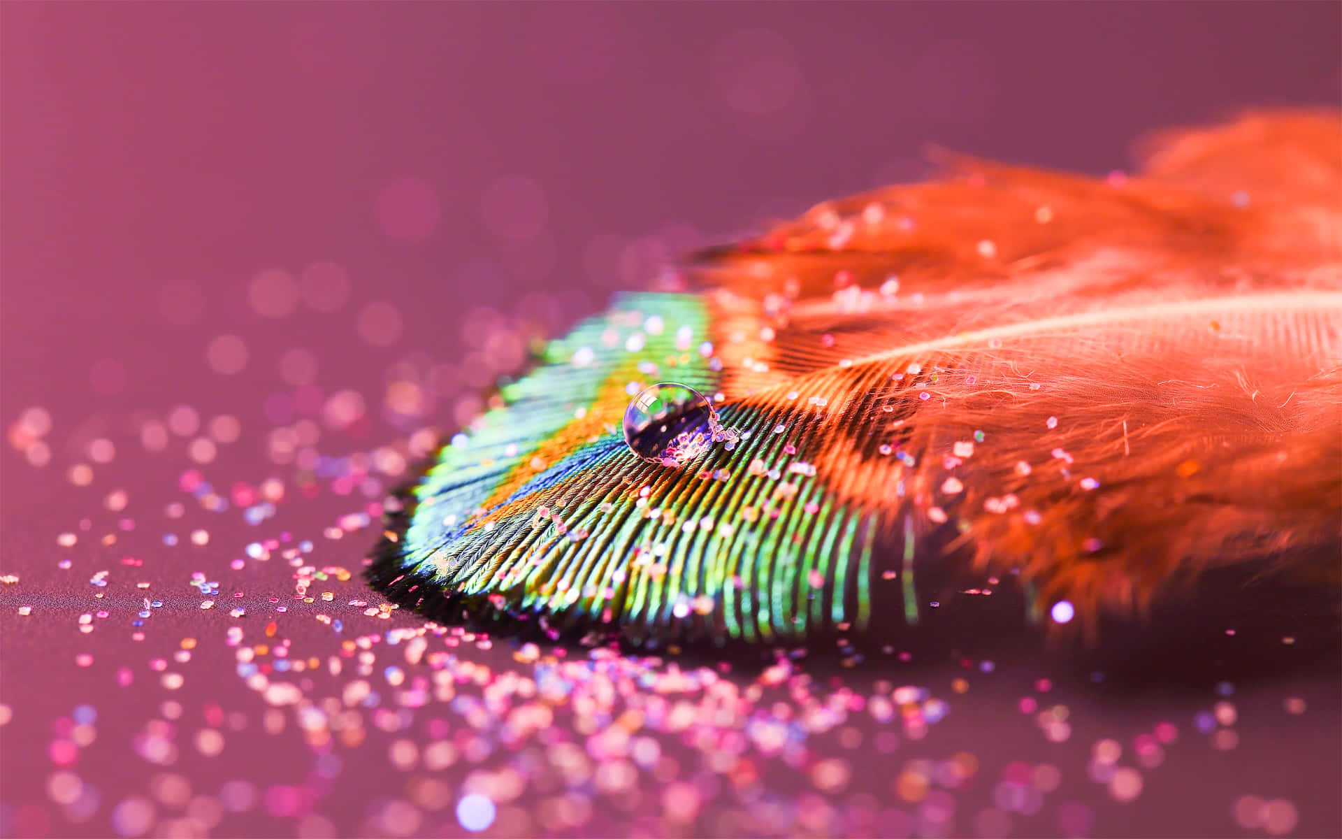 Colorful Feather With Glitters Picture
