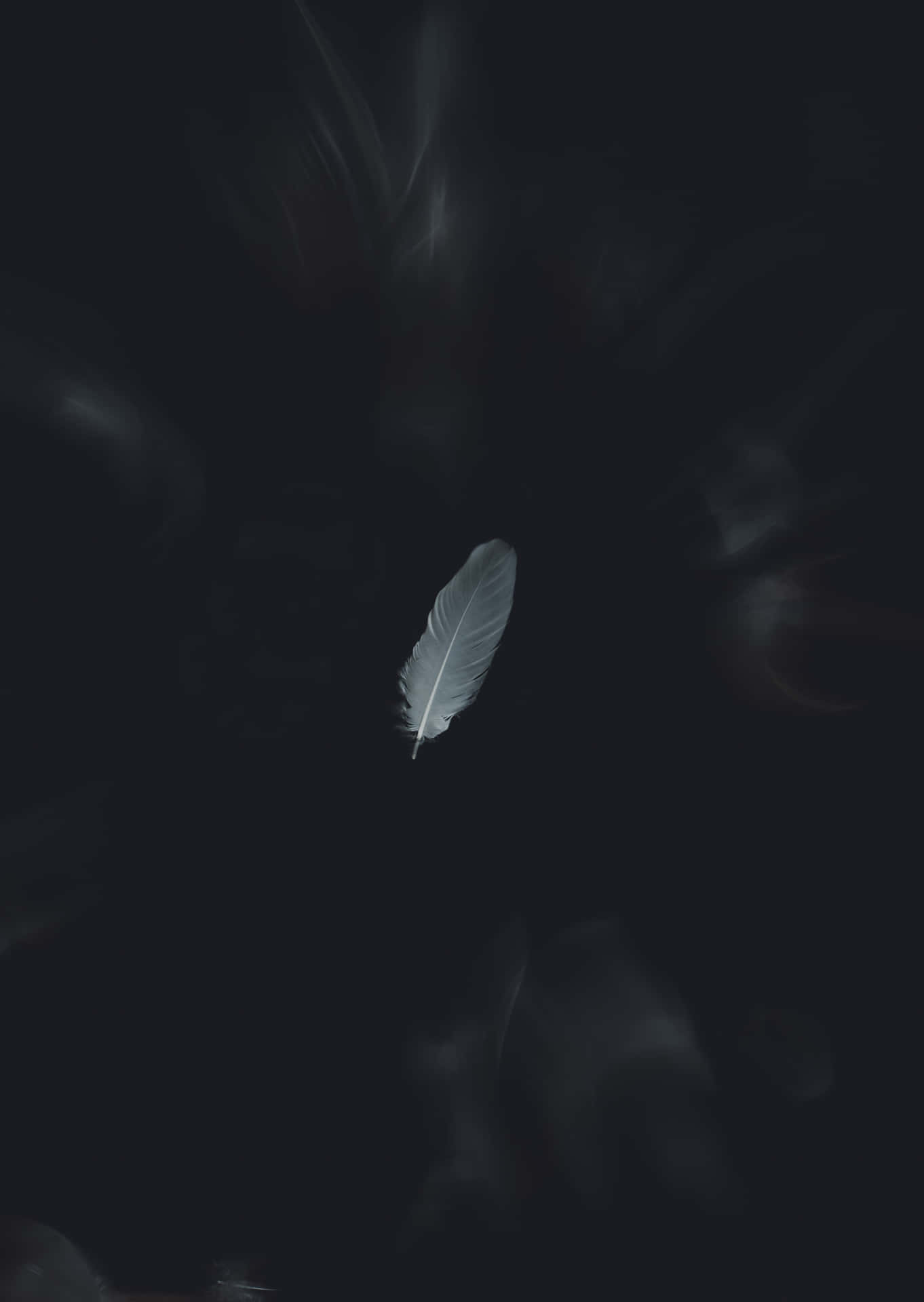 White Feather In The Dark Picture