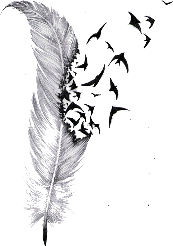 Feather Transforming Into Birds Artwork PNG