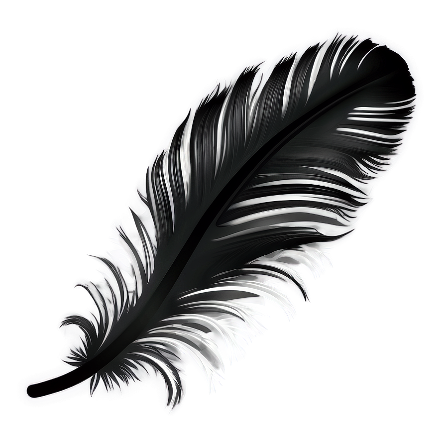 Feather Transparent Background Png 7 PNG