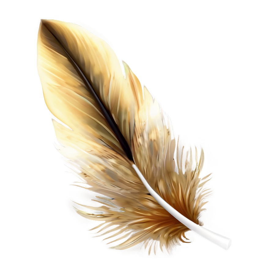 Feather Transparent Background Png Sve PNG