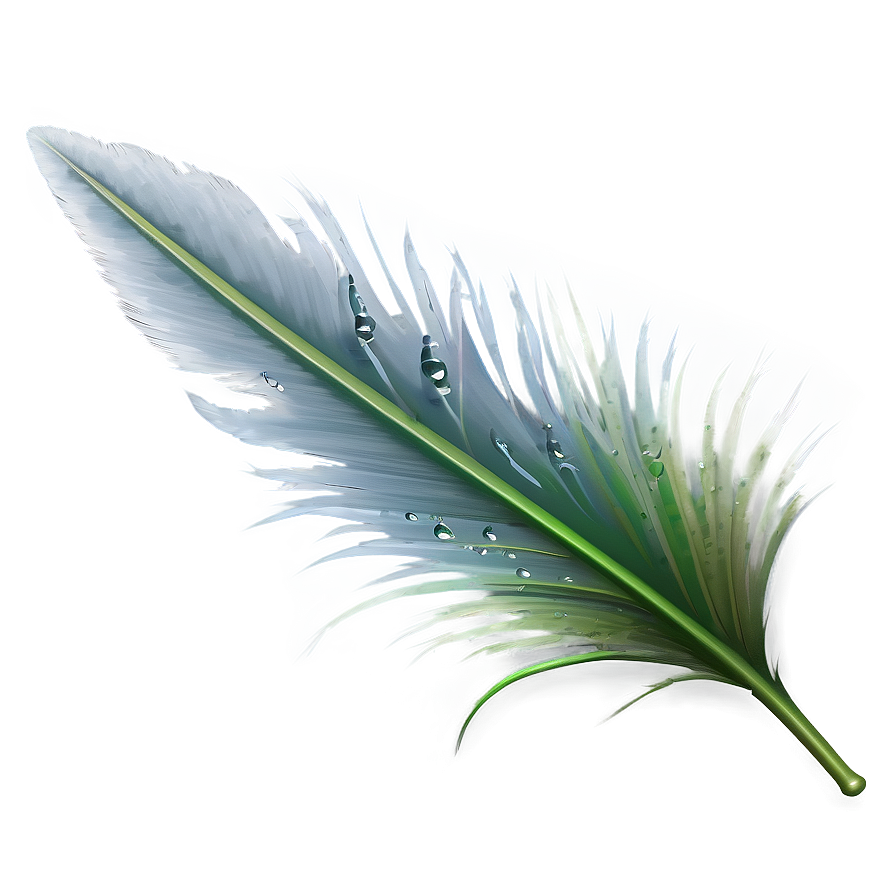 Feather With Dew Drops Png Amm36 PNG